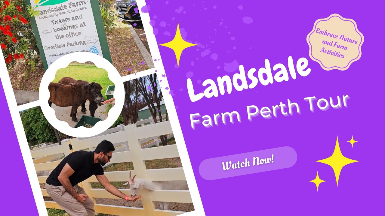 Landsdale Farm| A Day in the Life at Landsdale Farm #perthisok #farm