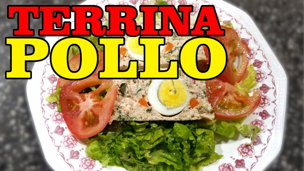 FACIL!! TERRINA DE POLLO