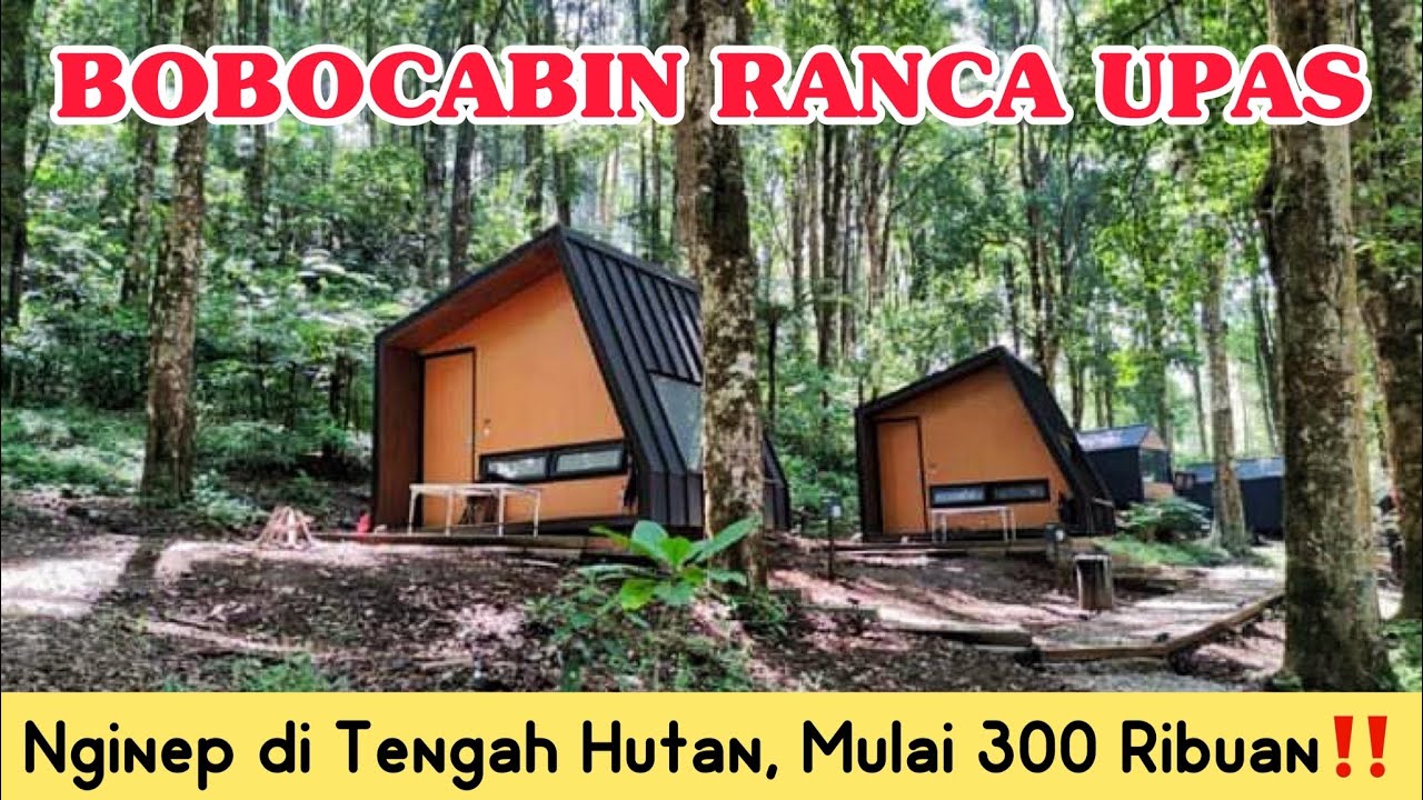 BOBOCABIN RANCA UPAS || 300 Ribuan Aja‼️ Sensasi Menginap di Tengah Hutan dengan Smart Cabin