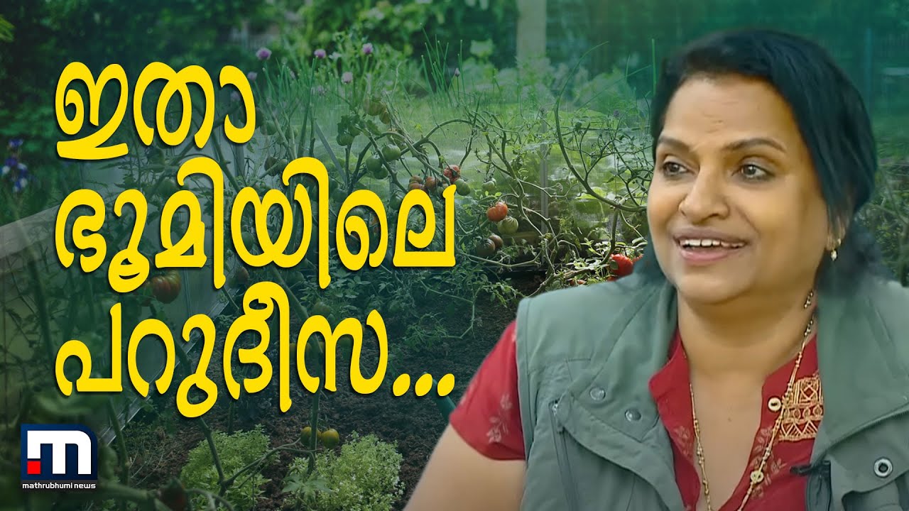 ഇതാ ഭൂമിയിലെ പറുദീസ... ലൗലിയുടെ 60 സെന്റില്‍ ഇല്ലാത്തതൊന്നുമില്ല| Krishibhoomi | Mathrubhumi News