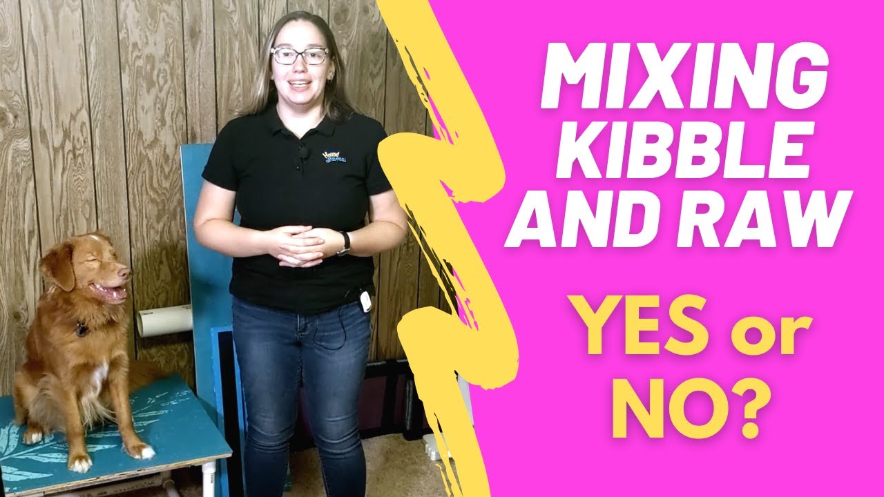 Can you mix kibble and raw dog food together? Yes or No?
