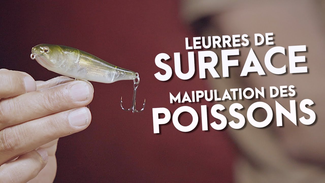 LA COULEUR DES LEURRES DE SURFACE EST-ELLE IMPORTANTE // COMMENT BIEN MANIPULER LES POISSONS //FC 31