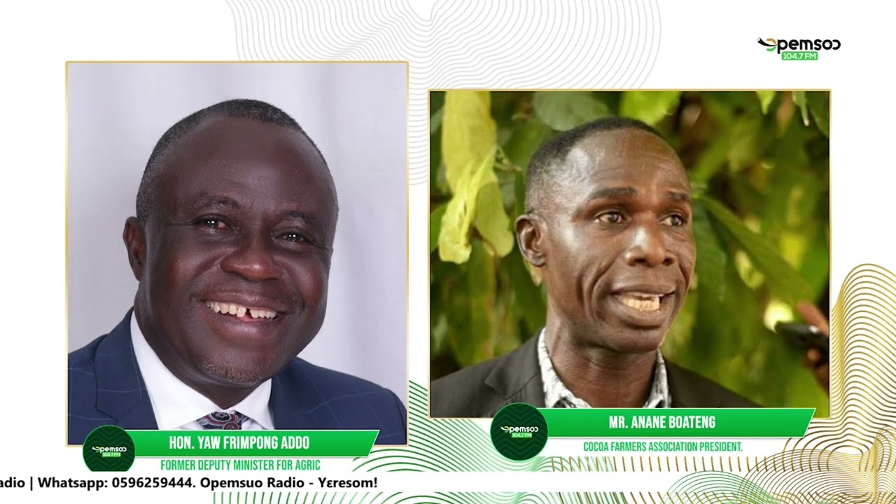 Commercial cocoa farming is not widely practiced in Ghana—Hon Frimpong Addo,Fmr Deputy Min.for Agric