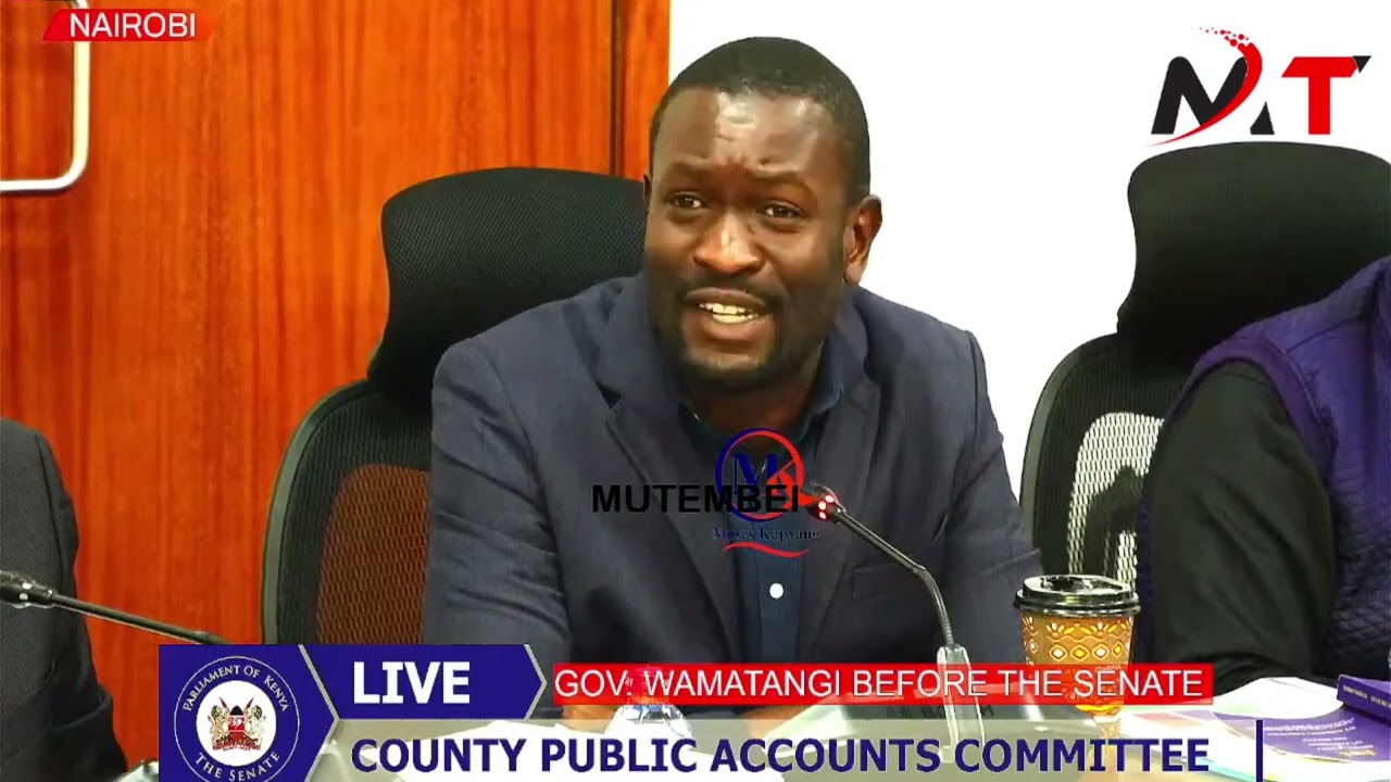 LISTEN TO MIMI NDIO SIFUNA ASKING WAMATANGI TOUGH QUESTIONs IN SENATE