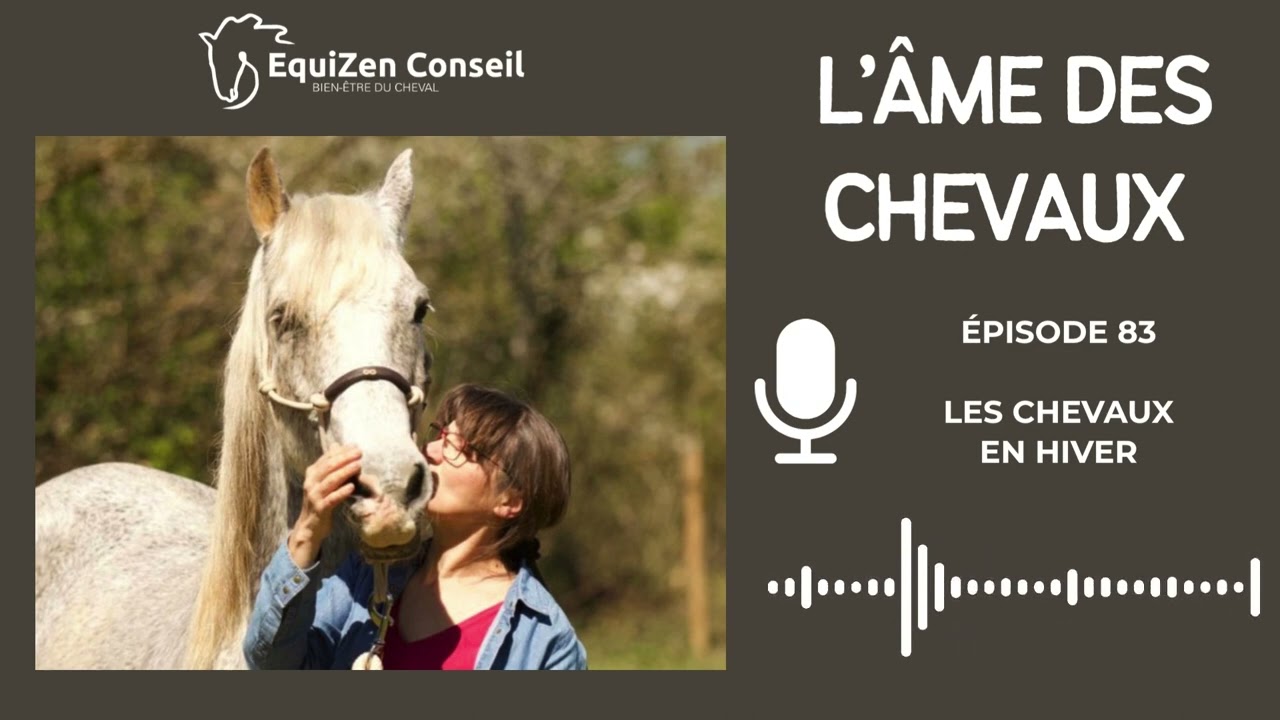 EP83 - Les chevaux en hiver