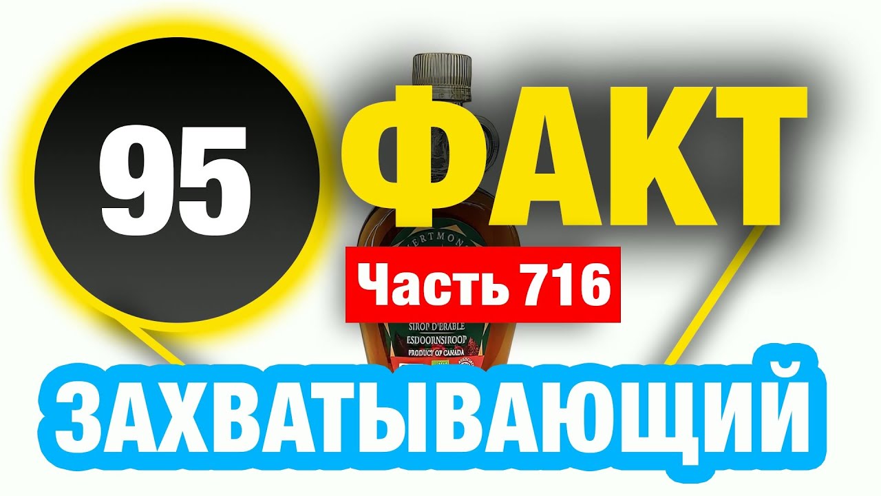 95 Впечатляющий Факт