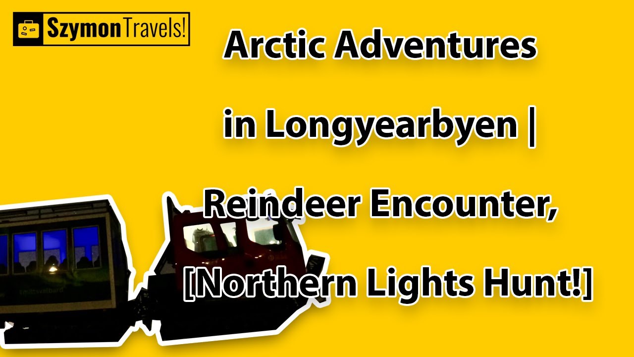 Arctic Adventures in Longyearbyen | Local Market, Reindeer Encounter, [Northern Lights Hunt!]
