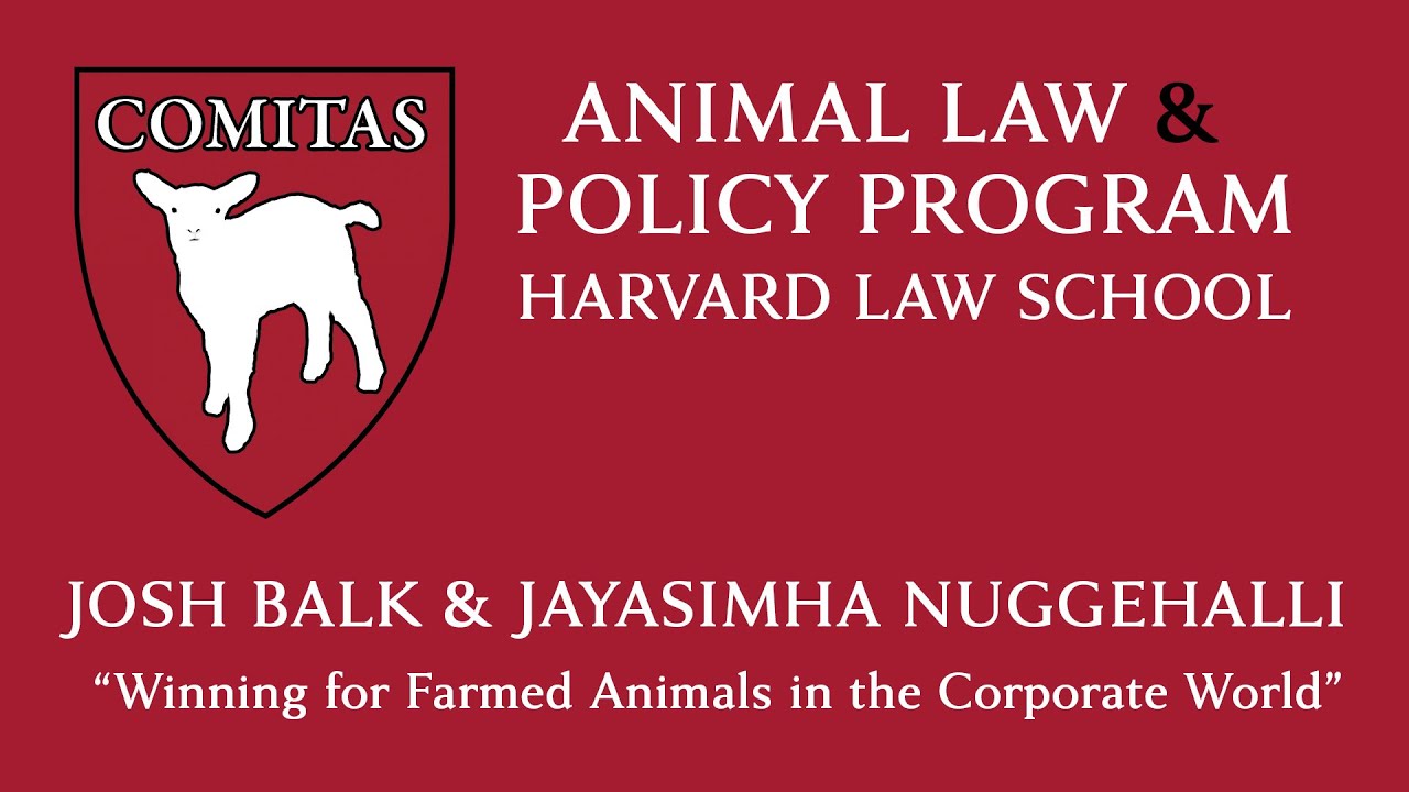 Winning for Farmed Animals in the Corporate World