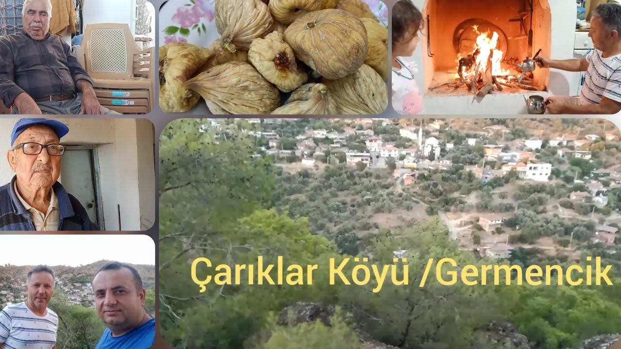 İNCİR ŞAMPİYONU ÇARIKLAR KÖYÜ (Germencik-Aydın)