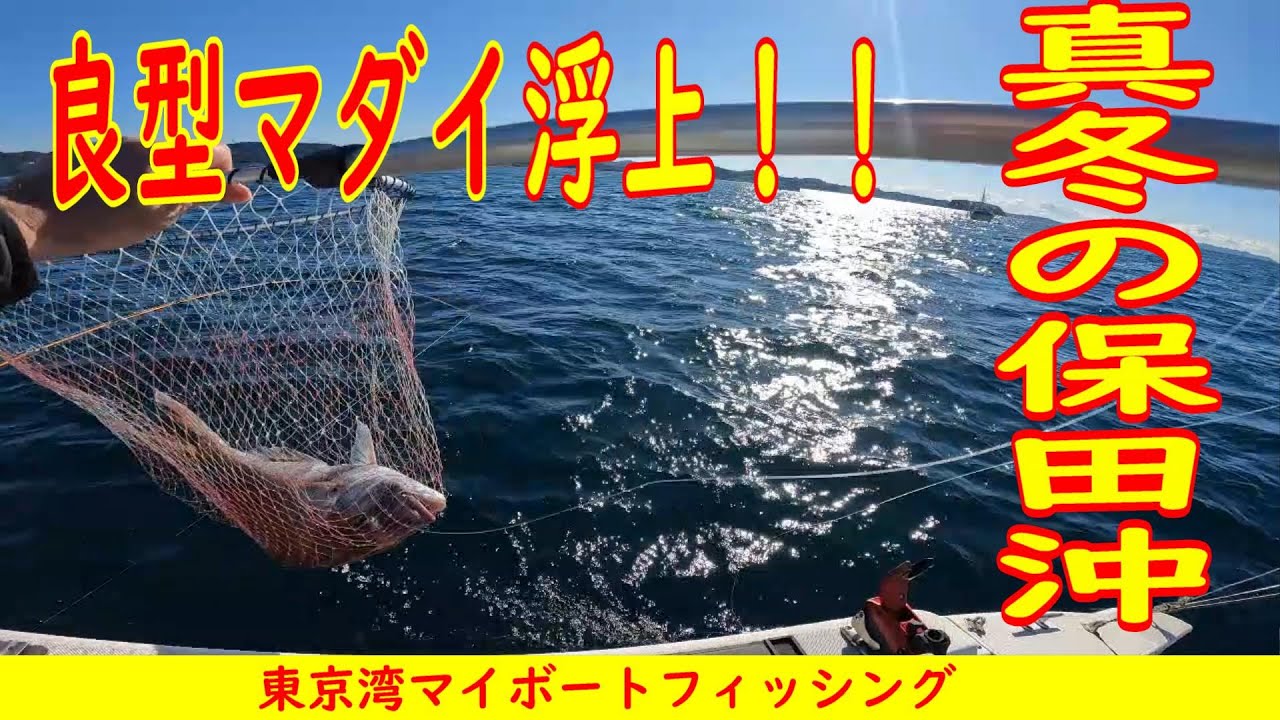 【東京湾マイボートフィッシング】真冬の保田沖でマダイ釣り。良型マダイ浮上する！！モンスター級もヒット！！ #釣り #東京湾 #マダイ