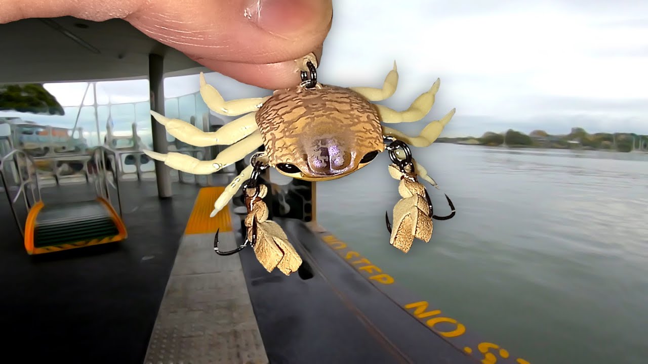 Fishing A Crab Lure At A Ferry Wharf!