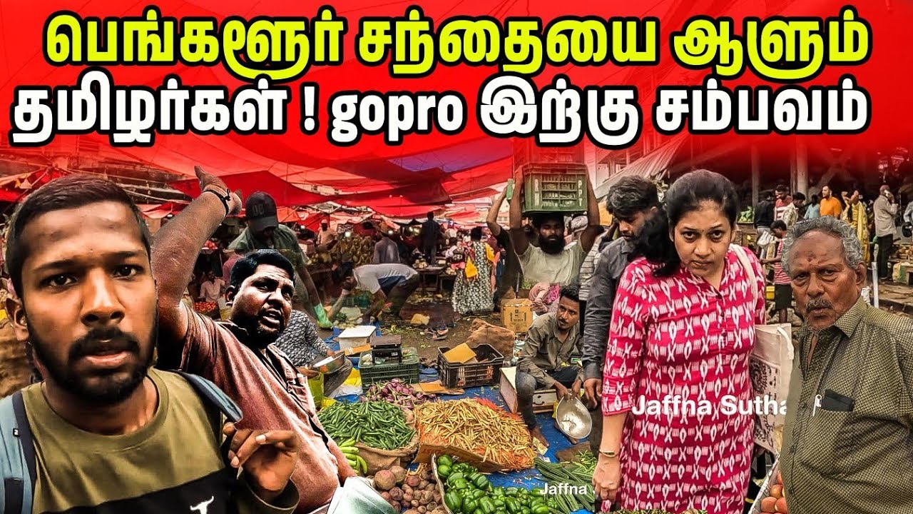 பெங்களூர் சந்தையை ஆளும் தமிழர்கள் | Bengalore Market Tour | Jaffna Suthan