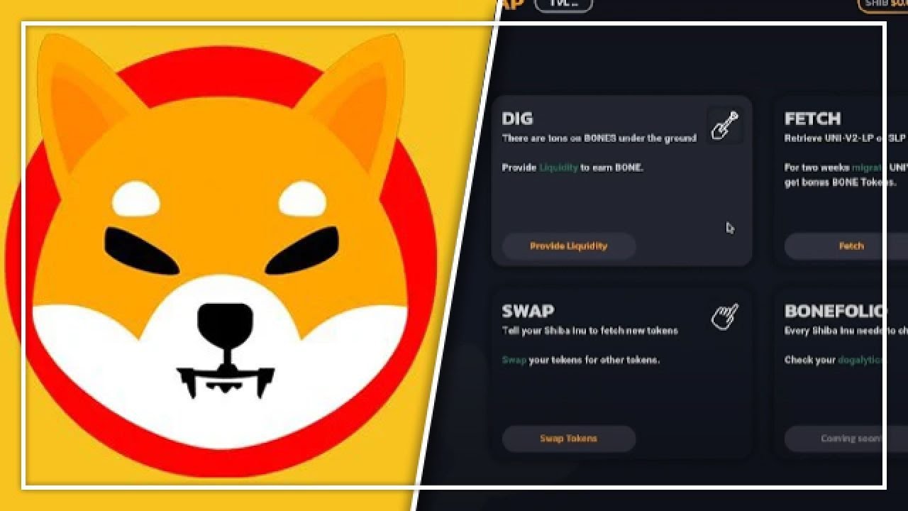 SHIBASWAP TUTORIAL &bull; How to DIG Bone on Coinbase Wallet &bull; Earn Passive Income