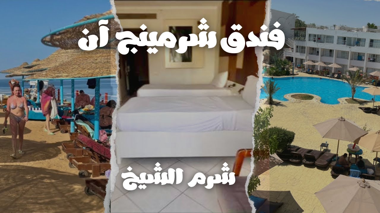 #شرم_الشيخ #فندق شيرمنج ان من ارخص الفنادق في #شرم_الشيخ
