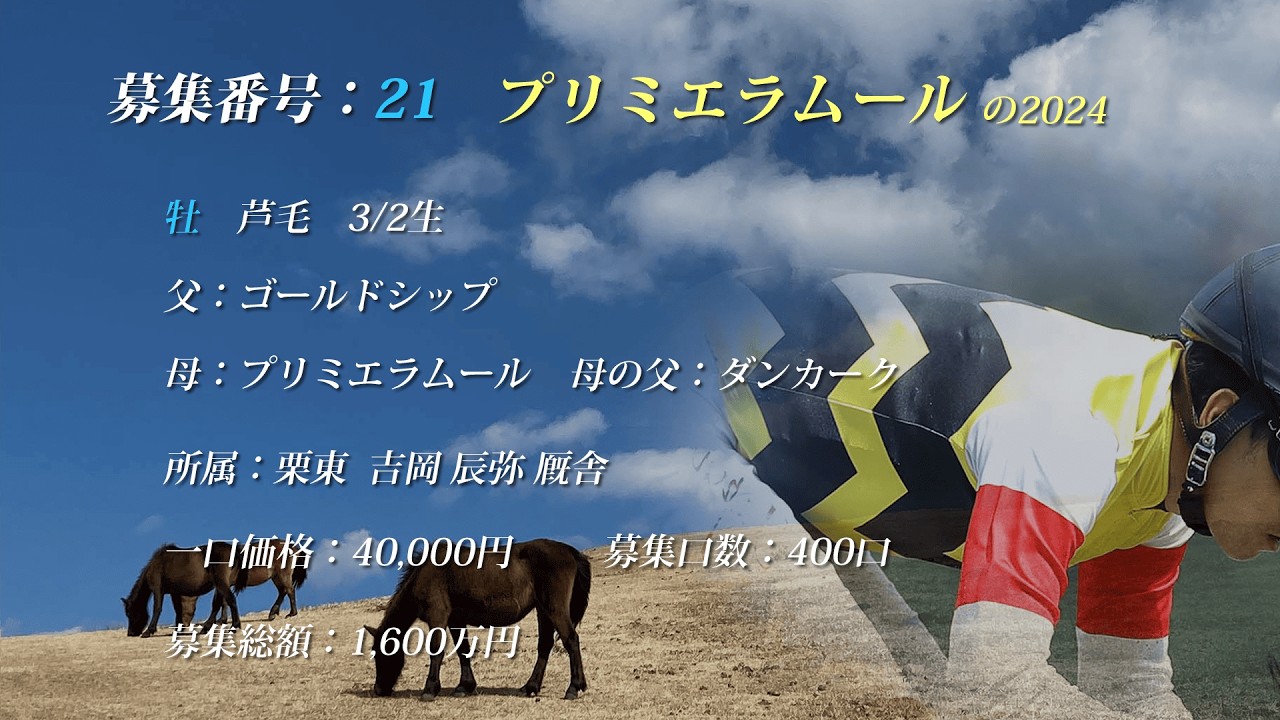 【2025年度[2歳馬]】21 プリミエラムールの2024