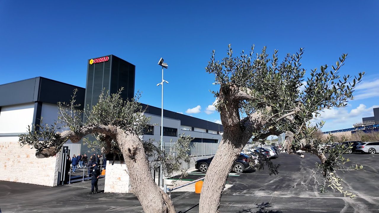 Alla scoperta dell'innovativo centro logistico di Conad in Puglia
