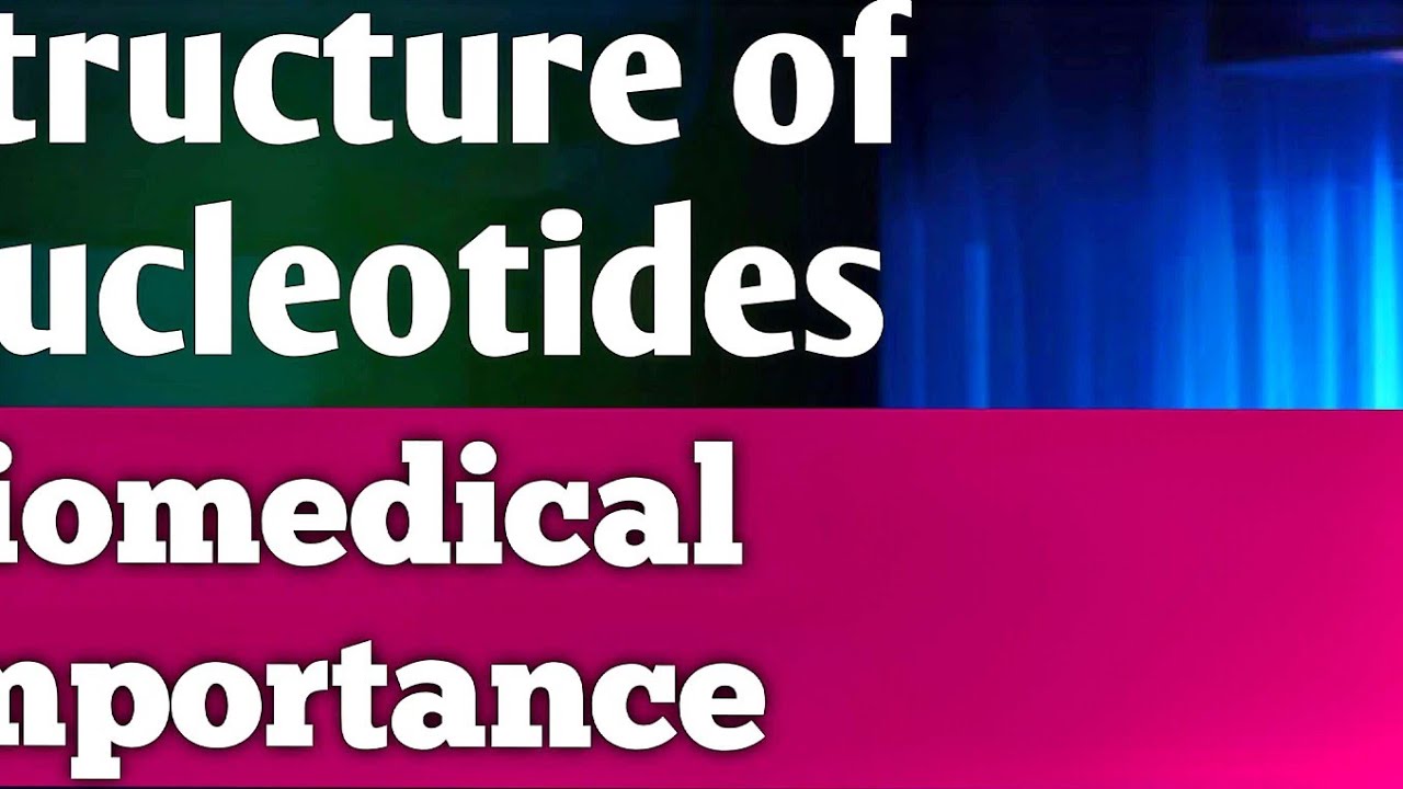 Part 02 Formation of nucleotides and their biomedical importance