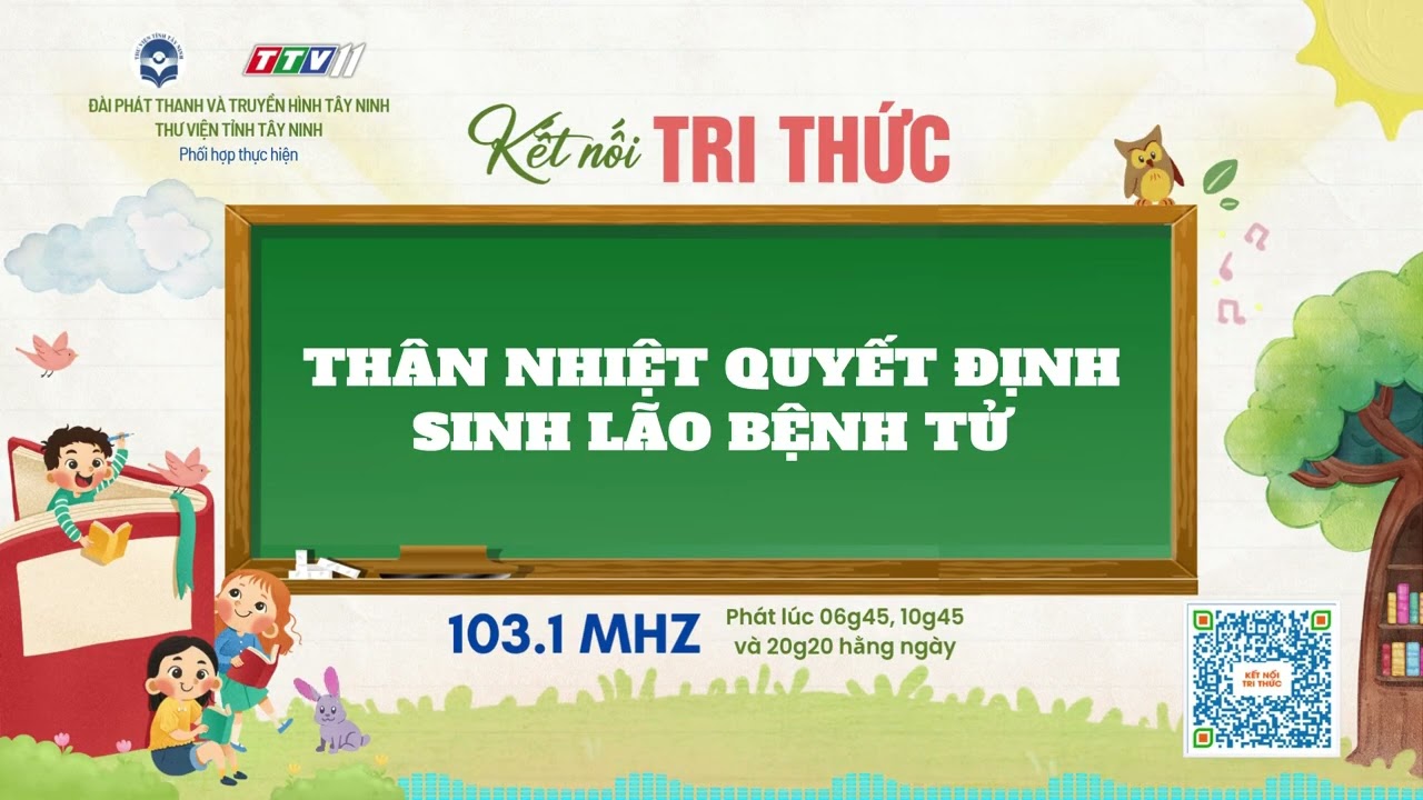 Thân nhiệt quyết định sinh lão bệnh tử | KẾT NỐI TRI THỨC | TayNinhTVAudio