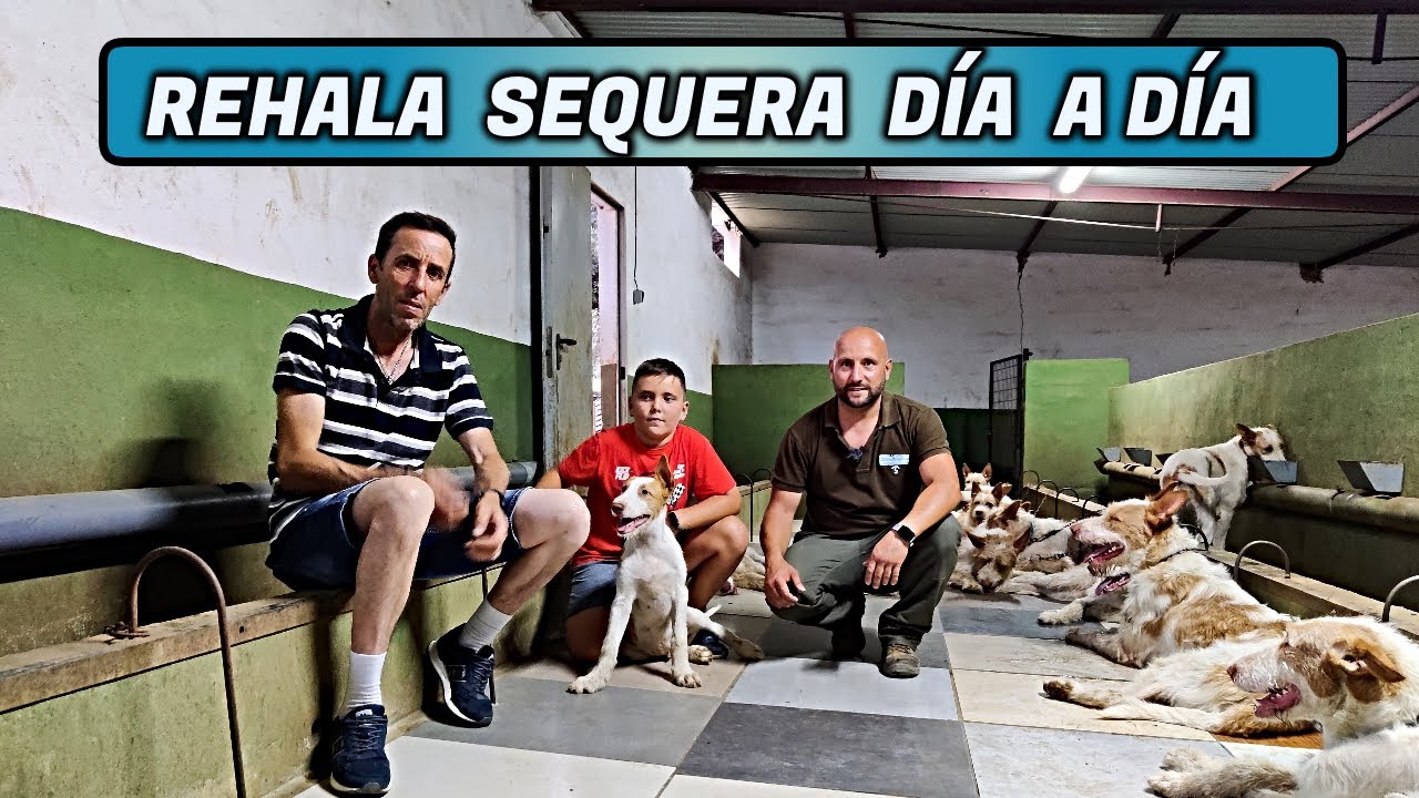 REHALA SEQUERA D&Iacute;A A D&Iacute;A 2022