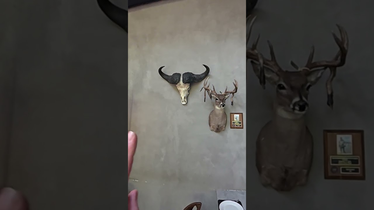 Brass Cancun Osmo 360 DJI. #antoniogarza #caramelo #paladardejabali #texmexfood #mexicangrill