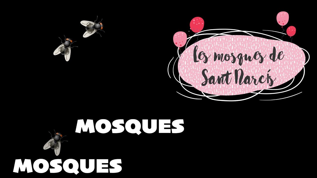 Les mosques de Sant Narcís Jordi Tonietti - Cançons per a infants en Català-