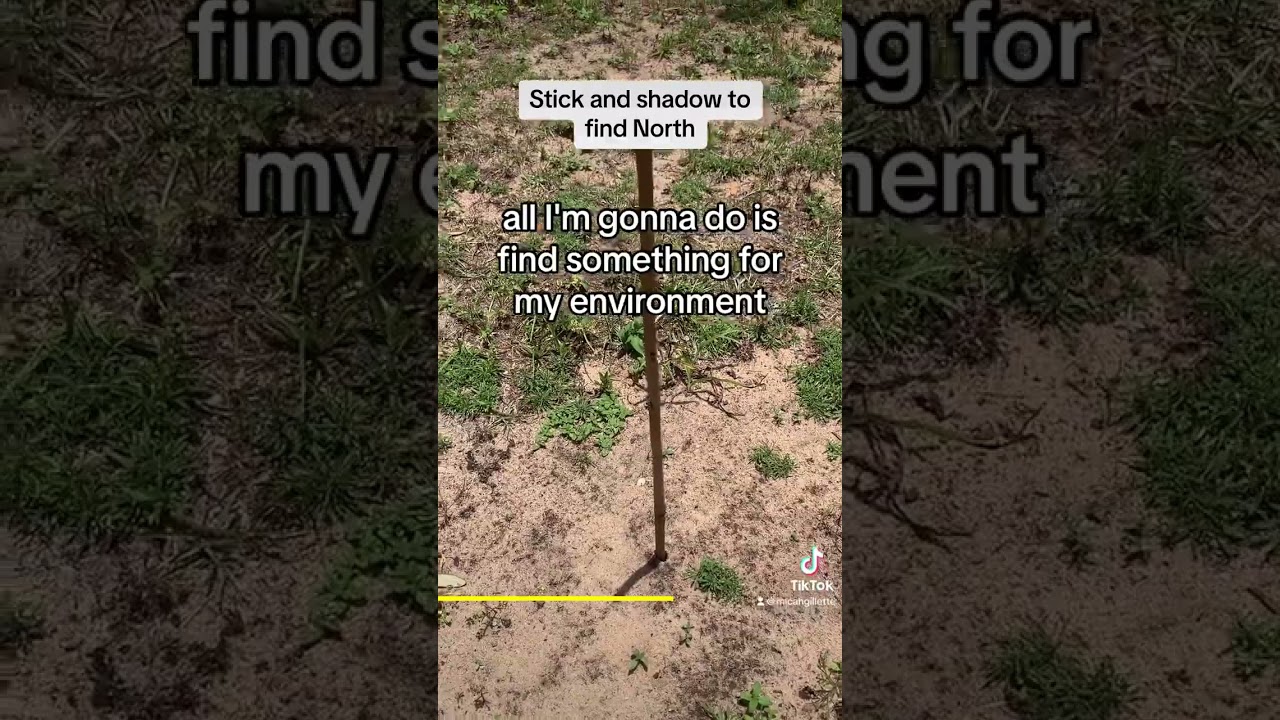 🗺️ Unlock the Secrets of Land Navigation: Master the Wilderness with Expert Techniques! 🌲