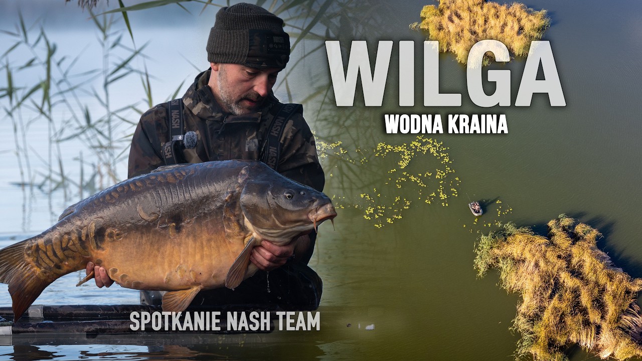 WILGA WODNA KRAINA I PIĘKNE KARPIE PONAD 20 KG ! ! !