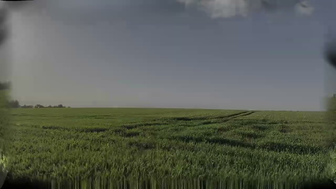 Soft Wind Through Tall Grass in Europe &ndash; Peaceful Nature Sounds for Sleep & Relaxation