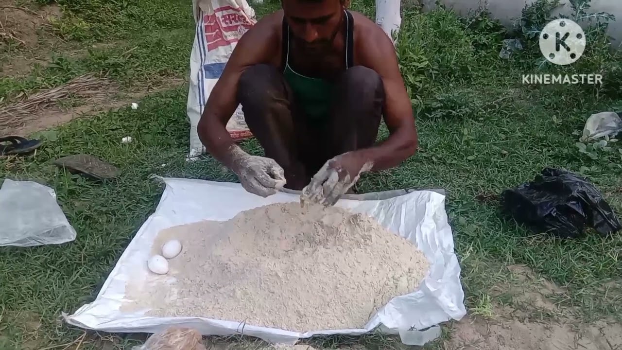 Fish food new video upload