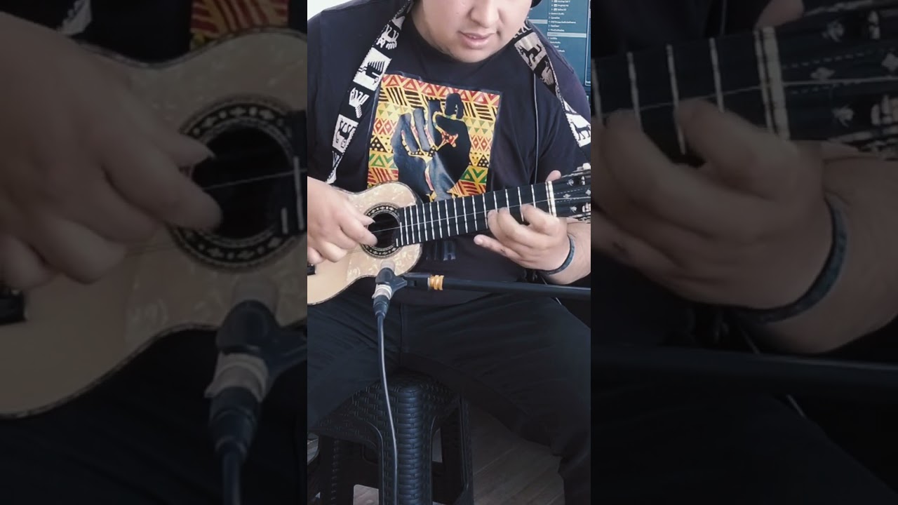 tuna papita (LOS KJARKAS) cover tutorial de charango #charango #musica #tutorial