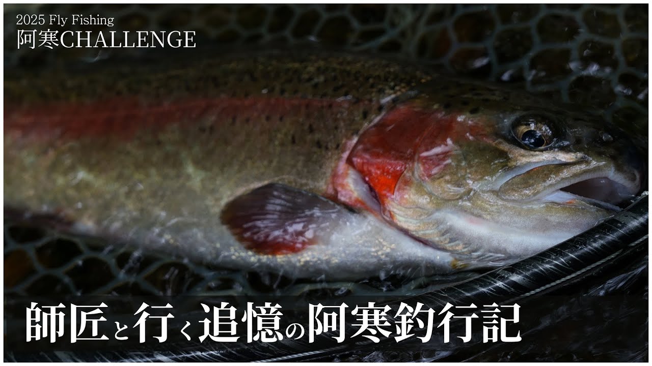 【阿寒Fly Fishing 】阿寒CHALLENGE 真夏の阿寒に師匠と遠征してきました。#flyfishingjapan  #阿寒川 #フライフィッシング ＃阿寒湖