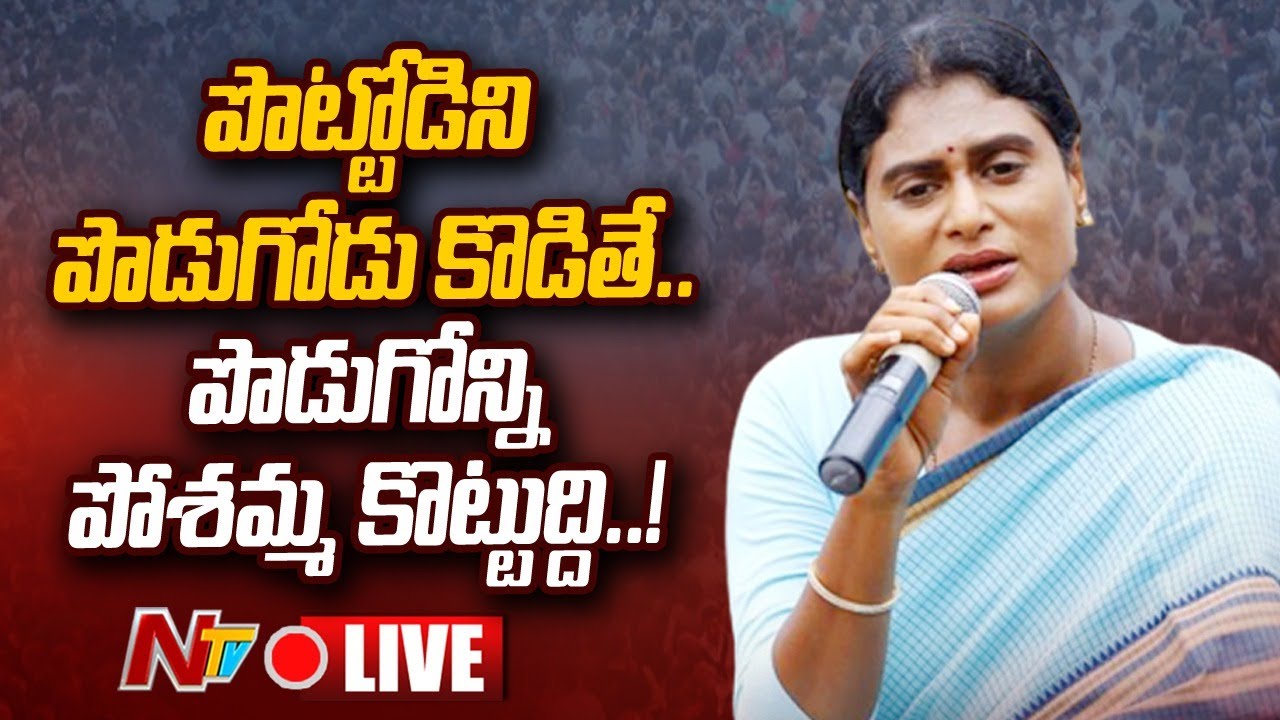 Live: YS Sharmila Sensational Press Meet | Lotus Pond | NTV Live