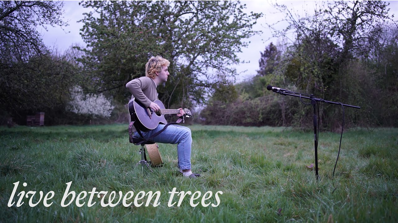Will Martin Kane - Live Between Trees