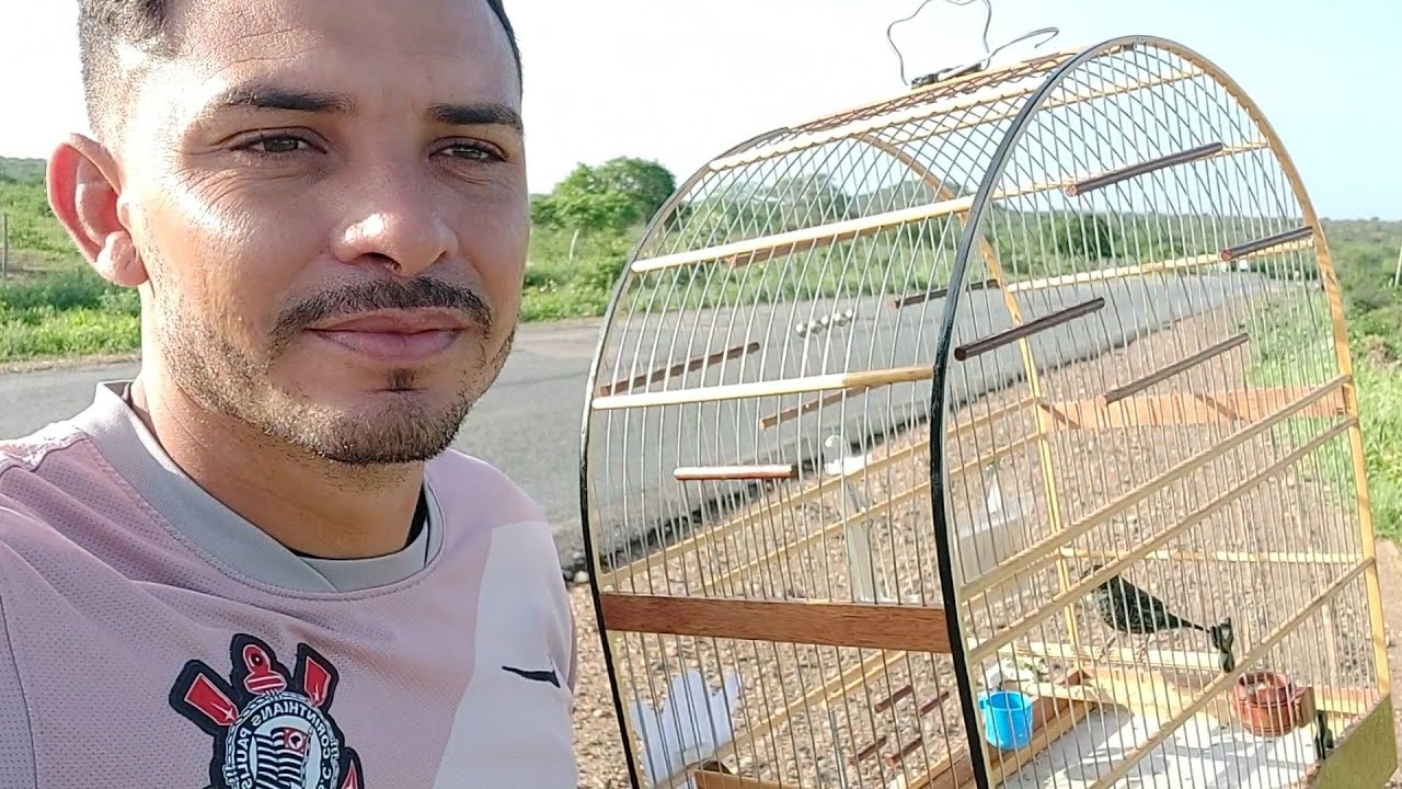 campeada Com tiziu o pal quebrou