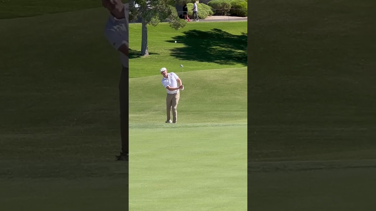 Soft Hands from the Big Guy! Harry Hall out at Shriners. #pgatour #shriners