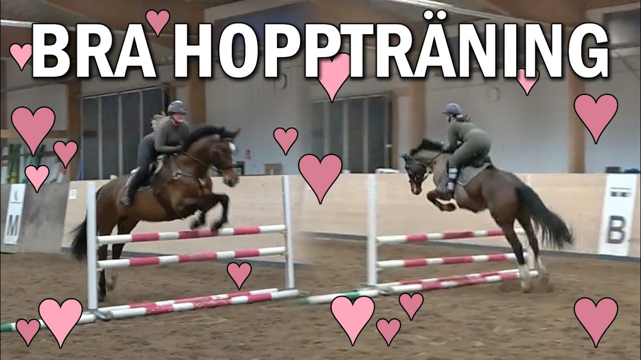 Är det nu det lossnar?! Stallvlogg