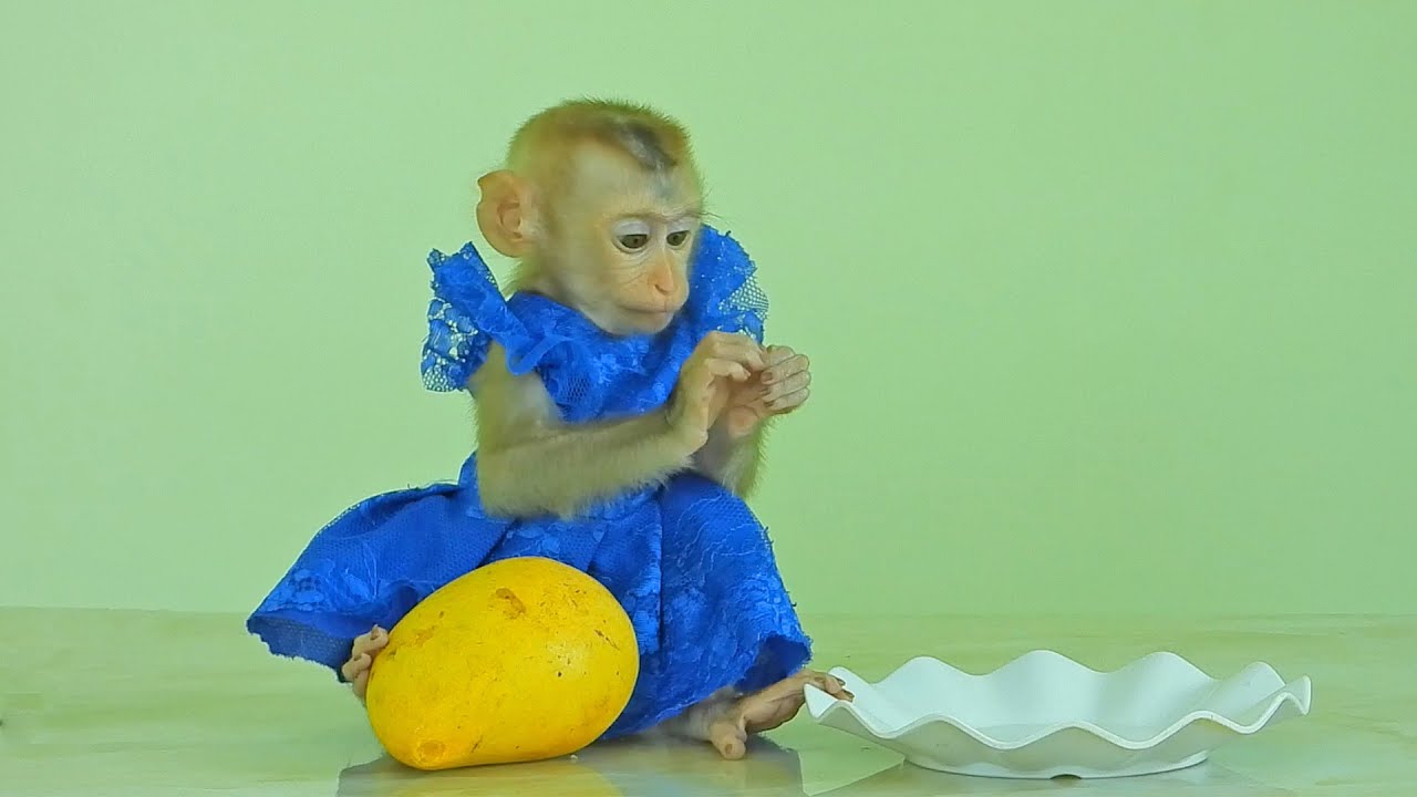 Cute Little Lisa Eating Mango Fruit