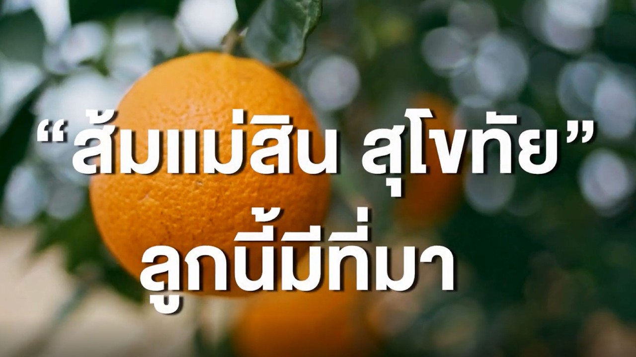 “ส้มแม่สิน สุโขทัย” ลูกนี้มีที่มา