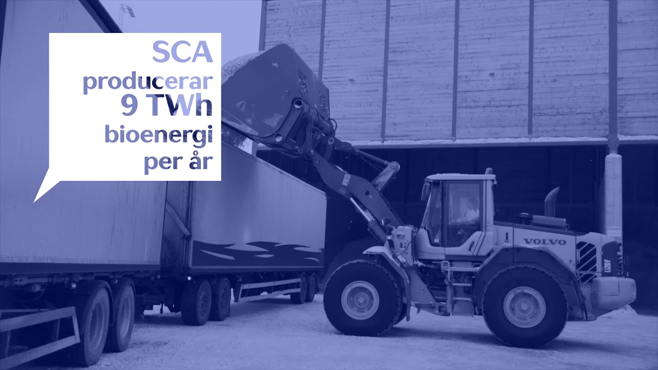 Fossilfritt Sverige - Skogens Resurser