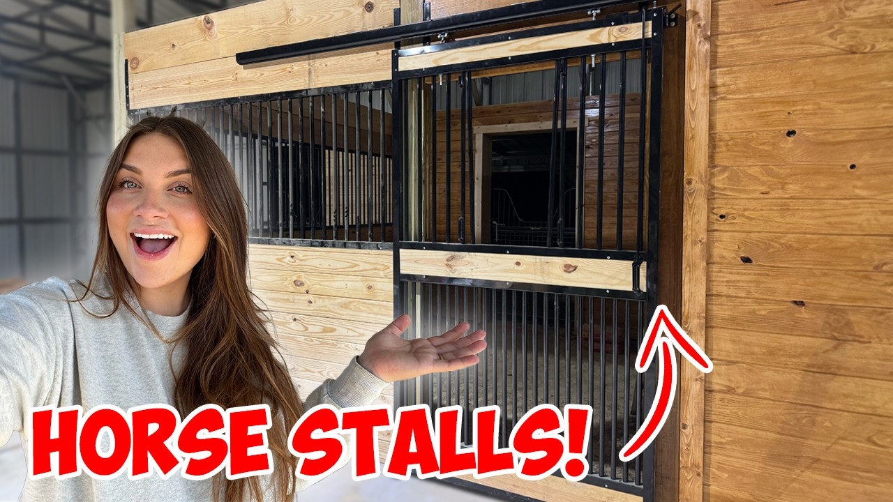 Building the HORSE STALLS! | Building My NEW DREAM HORSE BARN PART 8!