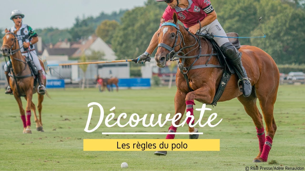 [DÉCOUVERTE] Les règles du polo
