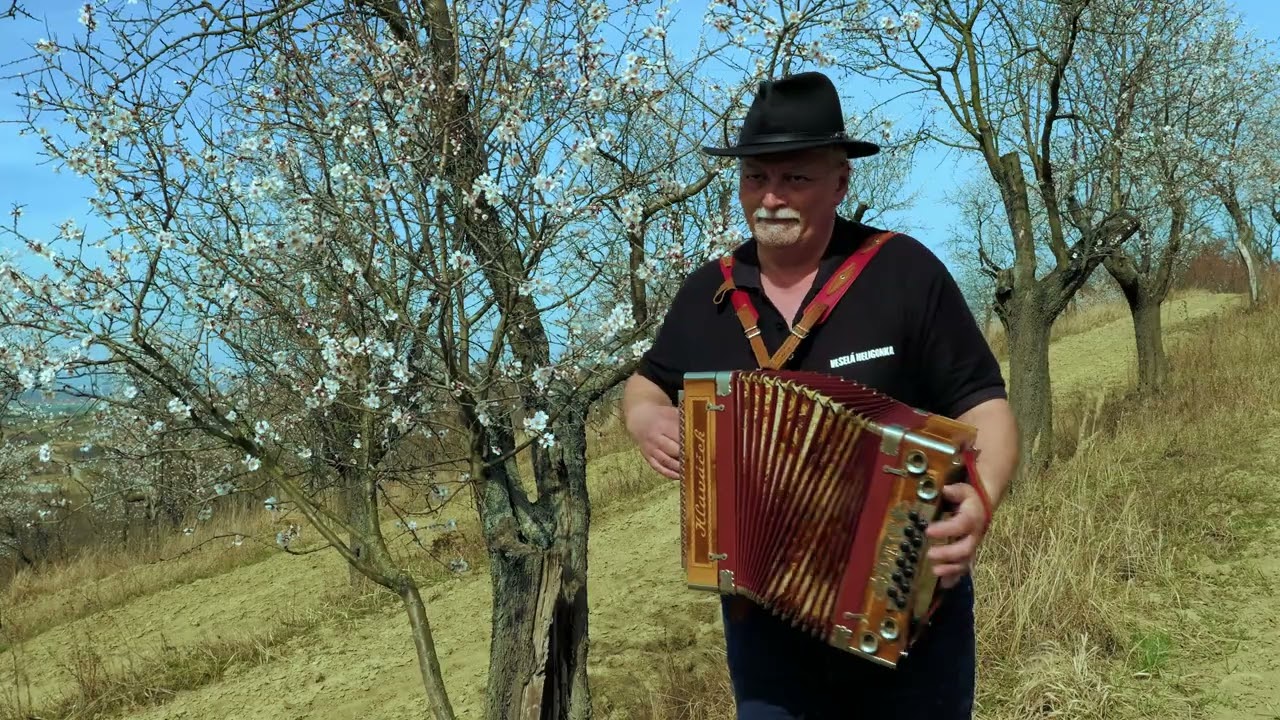 Mandloně Hustopeče 2023 Jan Grabec  - Holuběnka