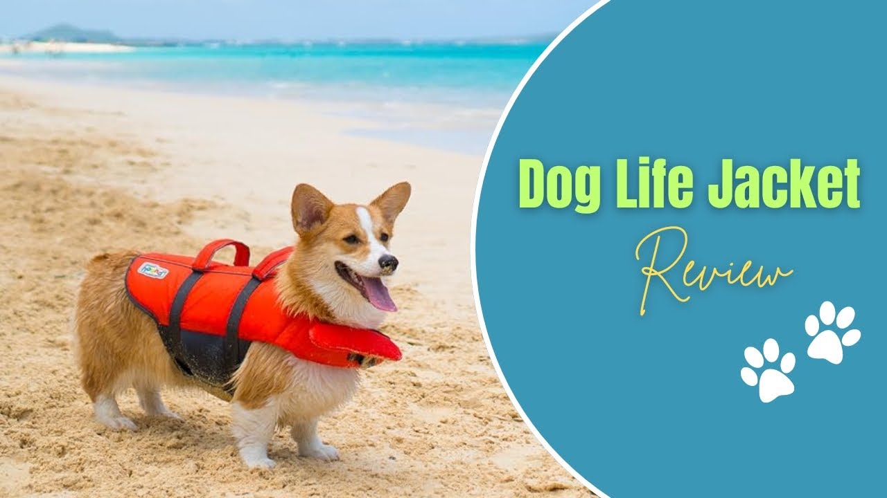 Outward Hound Dawson Dog Life Jacket | Review