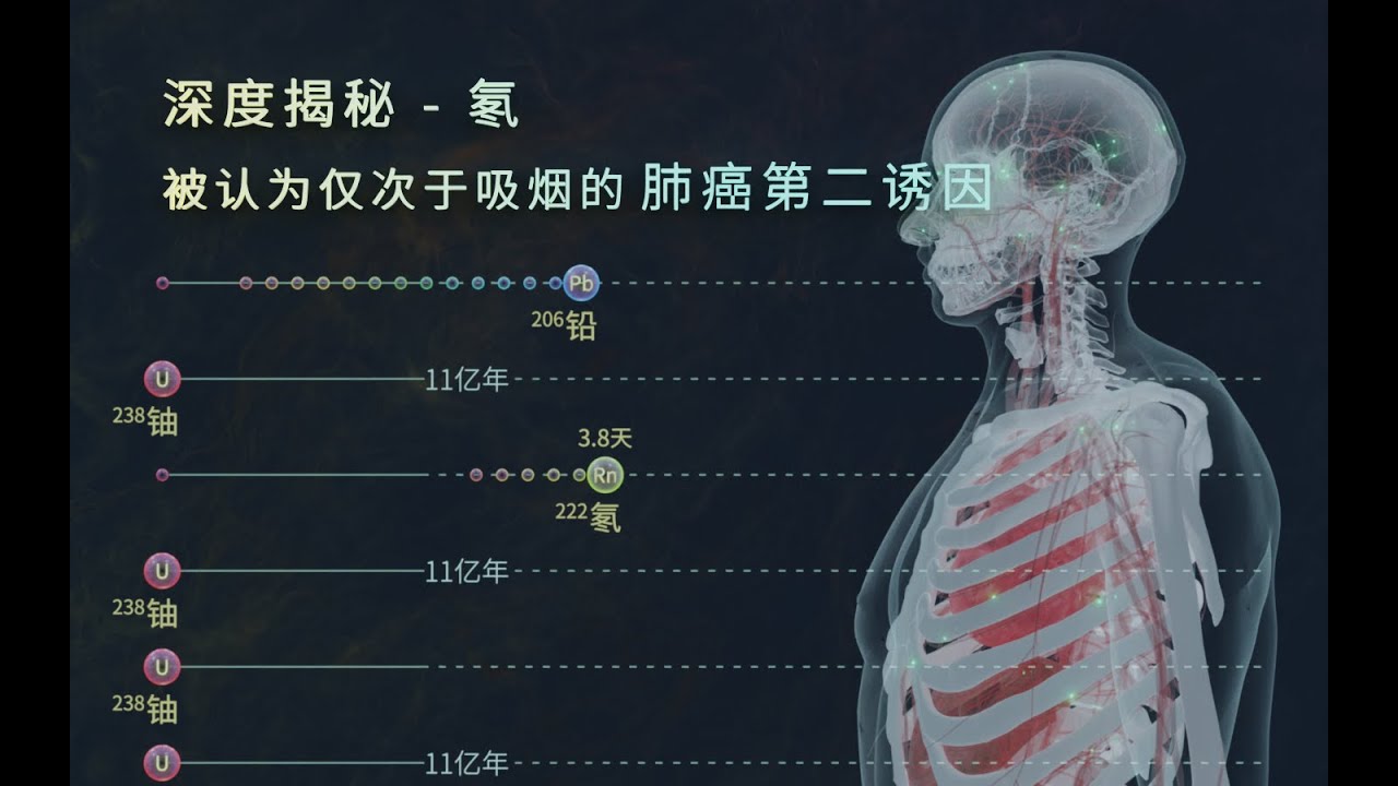 【三维演示】第一天然电离辐射源-氡的来源、去向及致肺癌机制