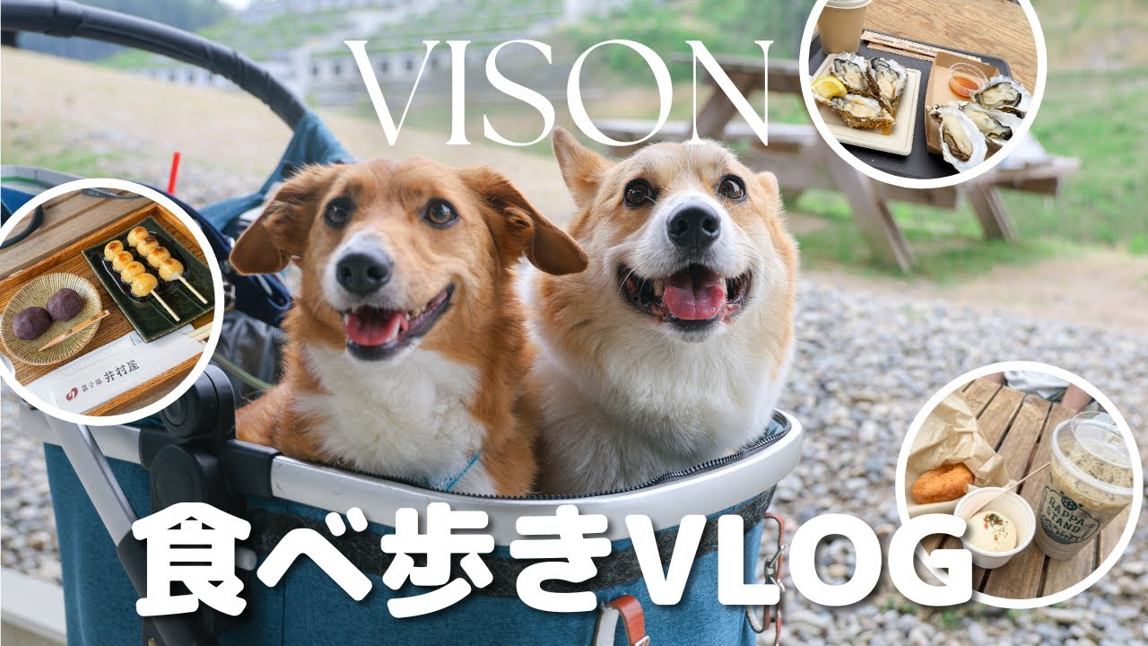 【VISON 三重】思う存分食べ歩き！SNSでよく見るアレは正直イマイチでした…