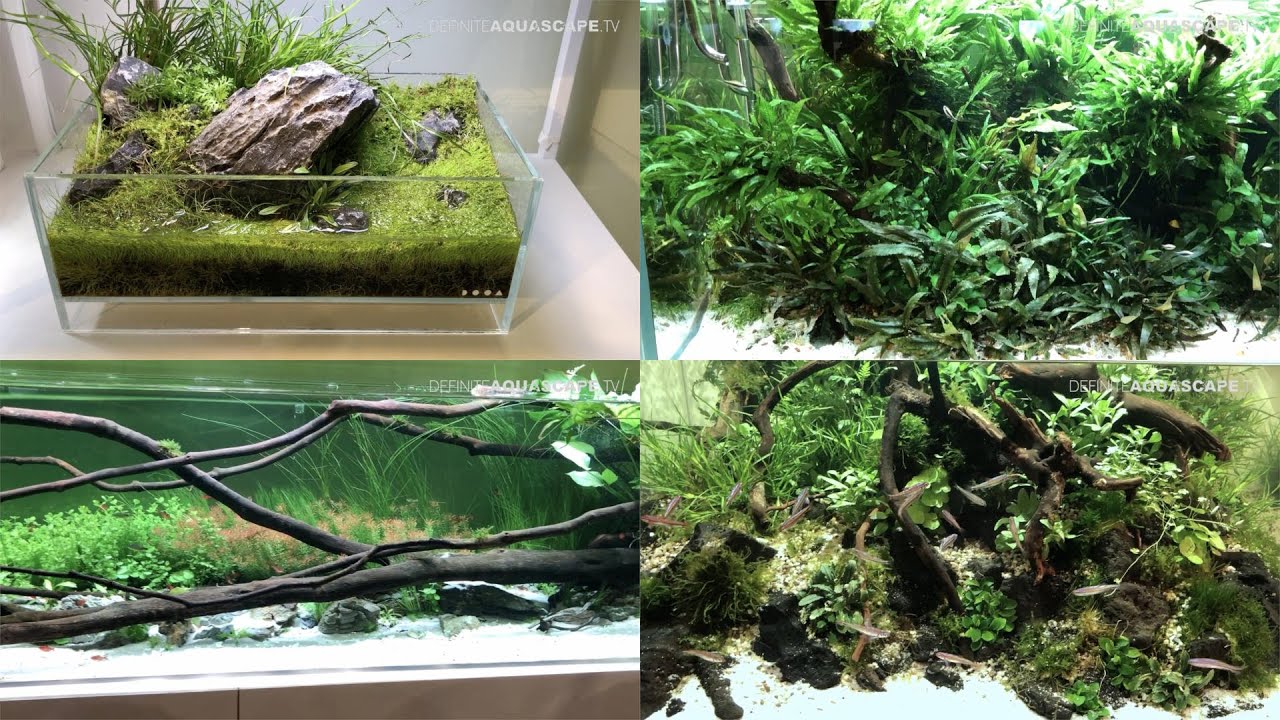 Vivarium 2025 - planted aquariums at the Aquaflora stand