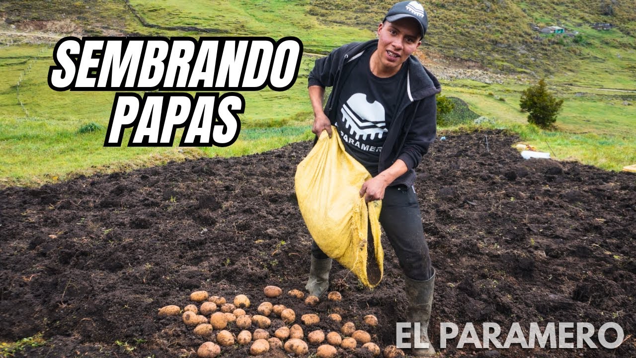SEMBRANDO PAPAS EN PLENO PÁRAMO | El Paramero