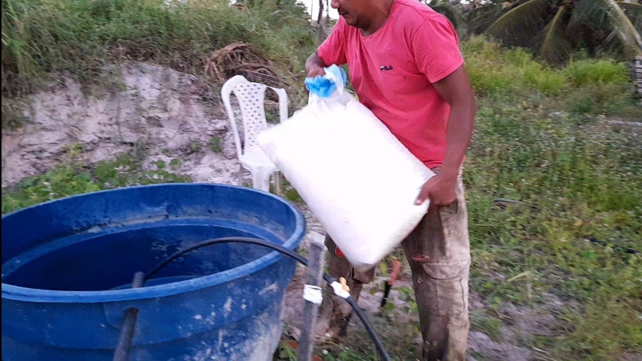 COMO FAZER FERTI-IRRIGAÇÃO DE FORMA SIMPLES E FÁCIL BAIXO CUSTO