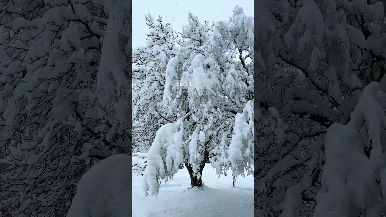 Snow record in Iceland! 😲❄️ #icelandtravel #icelandadventure #winterwonderland #snow #iceland