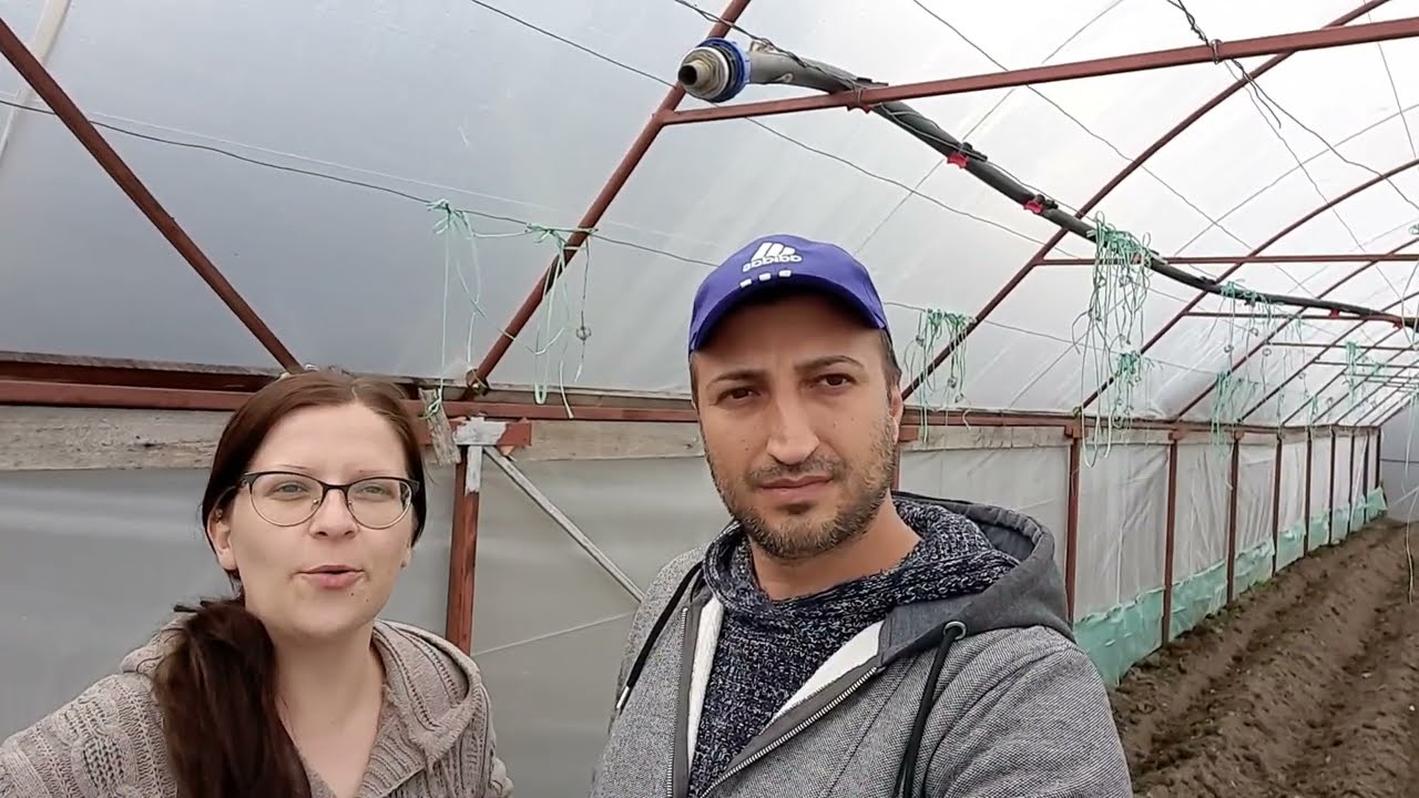 Cum produci mai multe rosii bio #RosiiBio  #tomaten #copilirea tomatelor